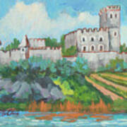 Castle On The Upper Rhine River Art Print