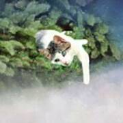 Cat In Evergreen Art Print