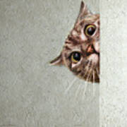 Cat Spy Art Print