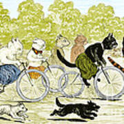 Cats In A Bicycle Race, Hyde Park, 1896 Art Print