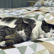 Cats On The Quilt Art Print