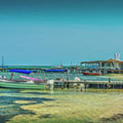 Caye Caulker Shallow Water. Art Print