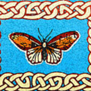 Celtic Butterfly Art Print