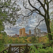 Central Park From The Brambles Art Print