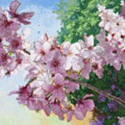 Cherry Blossoms #2 Art Print