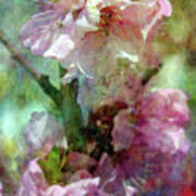 Cherry Blossoms 9309 Idp_2 Art Print