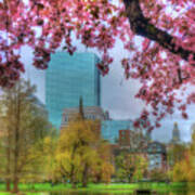 Cherry Blossoms Over Boston Art Print