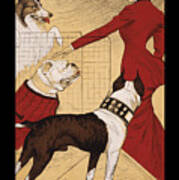 Chicago Dog Show 1902 Poster Art Print