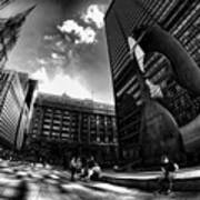 Chicago's Picasso With A Fisheye View Art Print