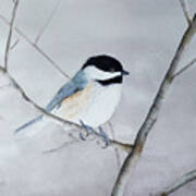 Chickadee Ii Art Print