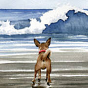 Chihuahua At The Beach Art Print