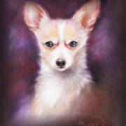 Chihuahua No. 1 Art Print