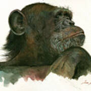Chimp Portrait Art Print