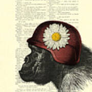 Chimpanzee With Helmet Daisy Flower Dictionary Art Art Print