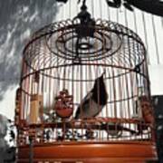 China Bird In Mahogany Cage Art Print