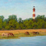 Chincoteague 7-21-16 Art Print