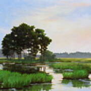 Chincoteague Marsh Art Print
