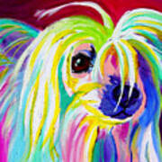 Chinese Crested - Fancy Pants Art Print