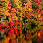Chocorua Pond In Fall Foliage Art Print