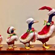 Christmas Ducks In A Row Art Print