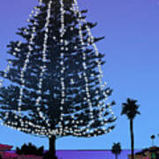 Christmas Tree At Moonlight Beach Encinitas, California Art Print