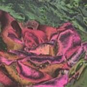 Chrome Rose 64182 Art Print