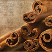 Cinnamon Sticks Art Print