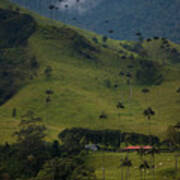 Cocora Valley Colombia Art Print