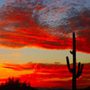 Colorful Arizona Sunset Art Print