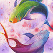 Colorful Koi Art Print