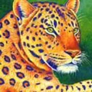 Queen Of The Jungle - Colorful Leopard Art Print