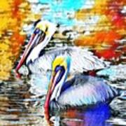 Colorful Pelican Art Print