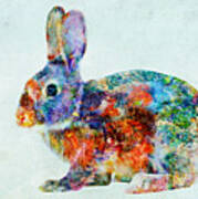 Colorful Rabbit Art Art Print