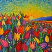 Colorful Tulips Field Sunrise - Abstract Impressionist Palette Knife Painting By Ana Maria Edulescu Art Print