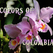 Colors Of Colombia Art Print