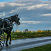 Coming Home At Dusk Art Print