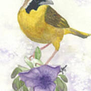 Common Yellowthroat Art Print