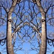 Conjoined Tree Collage Art Print