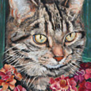 Cooper The Cat Art Print