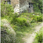 Cornwall Cottage Art Print