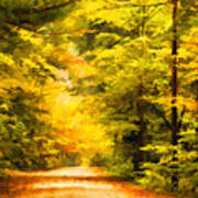 Country Road In Autumn Digital Art Art Print