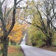 Country Road Through Autumn Art Print