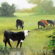Cows In Pasture Art Print