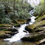 Roaring Fork Falls  - May 2015 Art Print