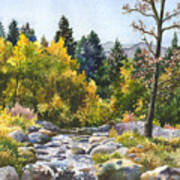 Creek At Caribou Ranch Art Print