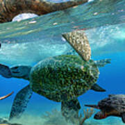 Cretaceous Marine Scene Art Print