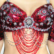 Crimson jeweled bra. Ameynra design Fleece Blanket