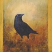 Crow 25 Art Print