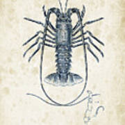 Crustaceans - 1825 - 30 Art Print