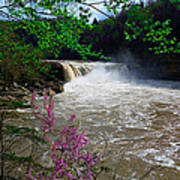 Cumberland Falls Art Print